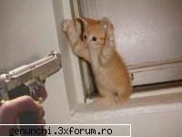 Tematici diverse - Vezi lucrarea pe link - Forum Nou